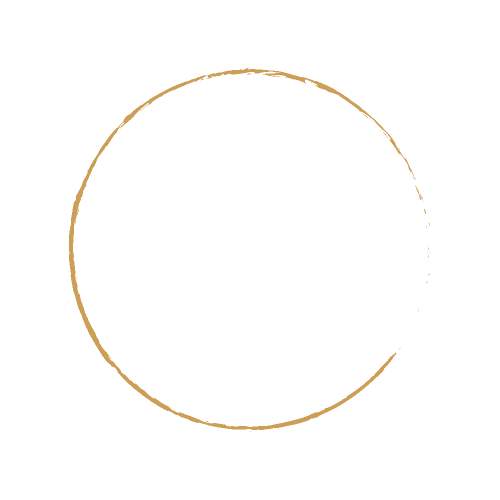 Faisal N. Shaikh Logo